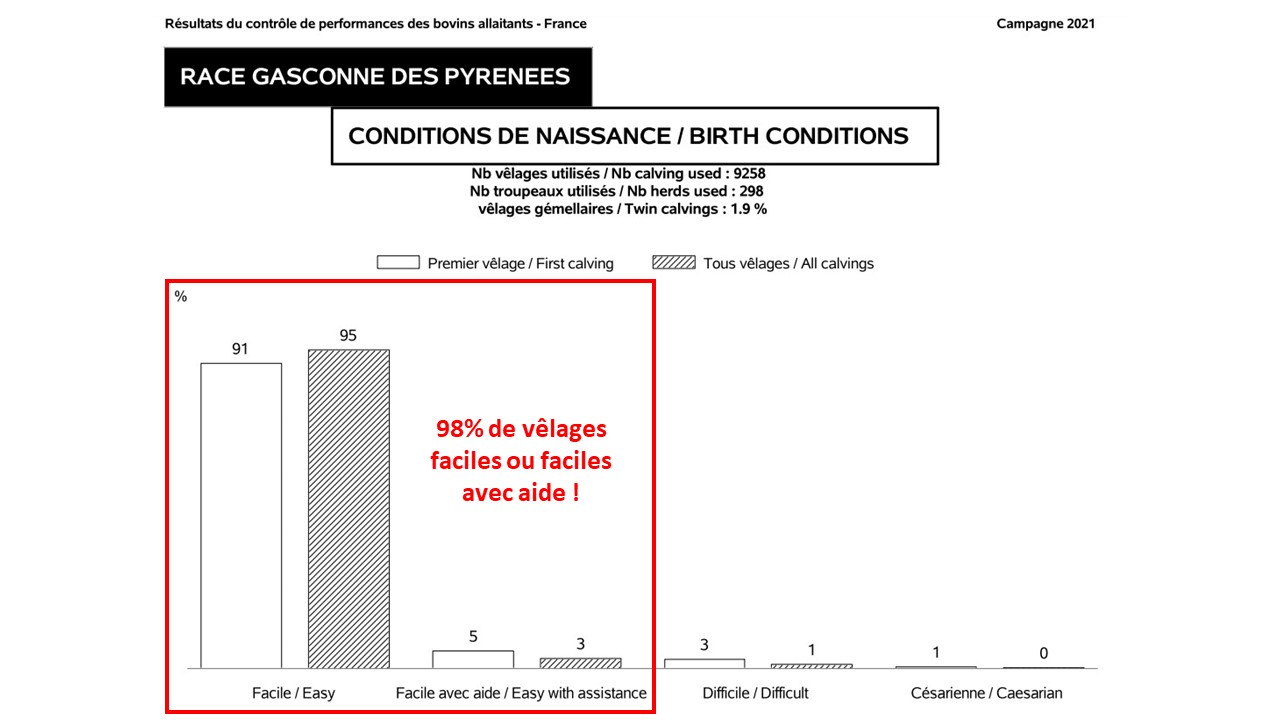 Représentation graphique des conditions de naissance au sein de la race Gasconne des Pyrénées au cours de la campagne 2020. 98% de vêlages faciles ou faciles avec aide !