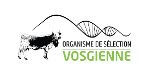 Logo officiel de l'Organisme de Sélection de la race Vosgienne.