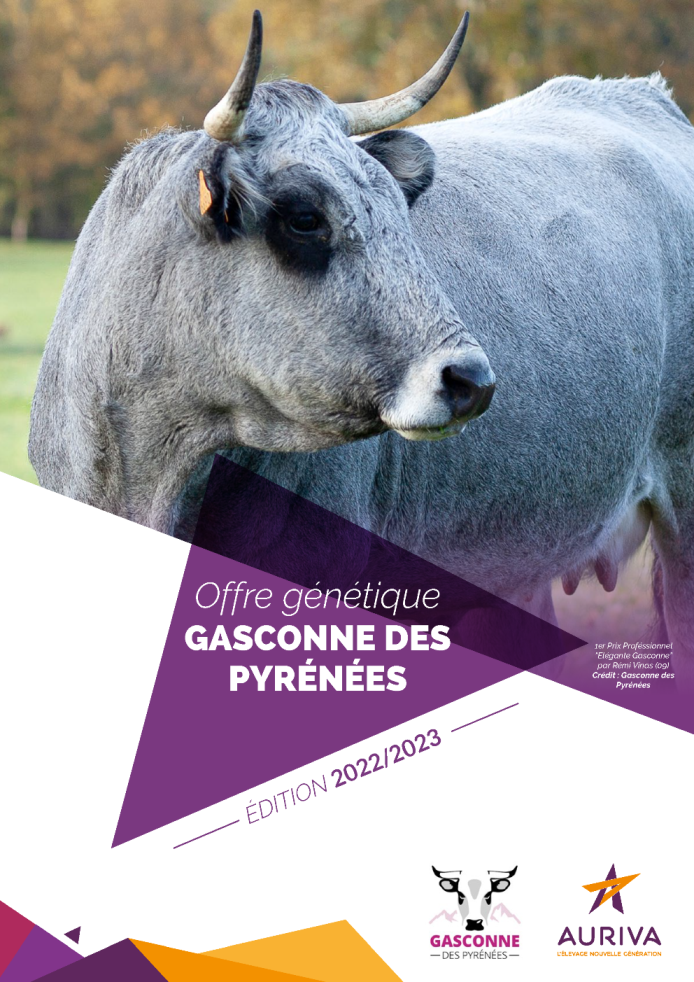Page de couverture du catalogue IA.