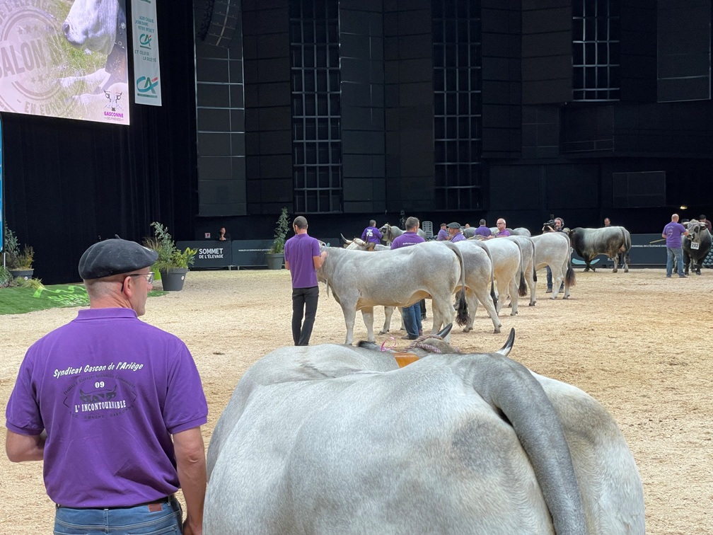 Concours GDP Vache SDE